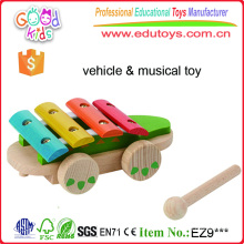 Brinde brilhantemente colorido ao longo de brinquedos musicais de madeira de crocodilo